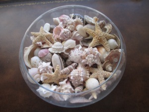 Shells from the Del